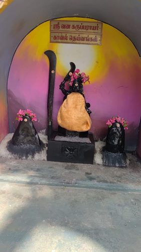 WhatsApp-Image-2026-02-08-at-12.59.07-PM-2