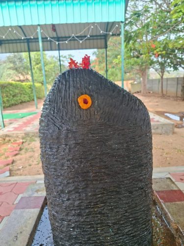 WhatsApp-Image-2026-02-10-at-8.50.01-PM