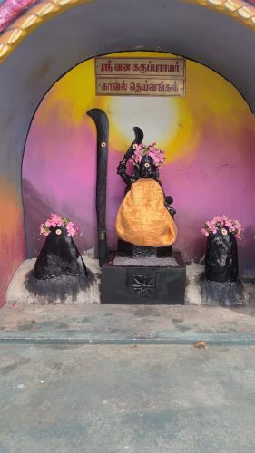 WhatsApp-Image-2026-02-10-at-8.50.31-PM-1