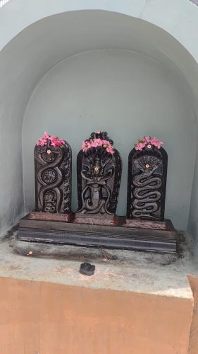 WhatsApp-Image-2026-02-10-at-8.50.32-PM-2