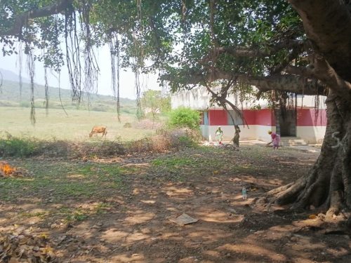 Sri Lalithambika Trust undertakes cleaning the entire Anuvavi area