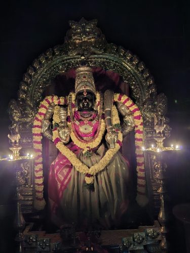 WhatsApp-Image-2026-03-19-at-2.35.18-PM