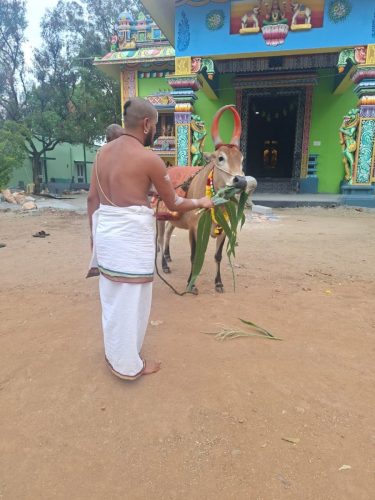 gopuja on 20-03-2026