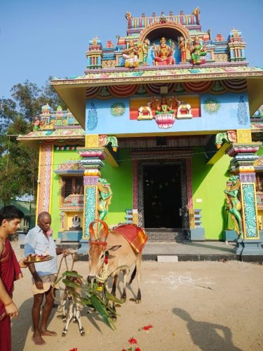 gopuja on 24-03-2026