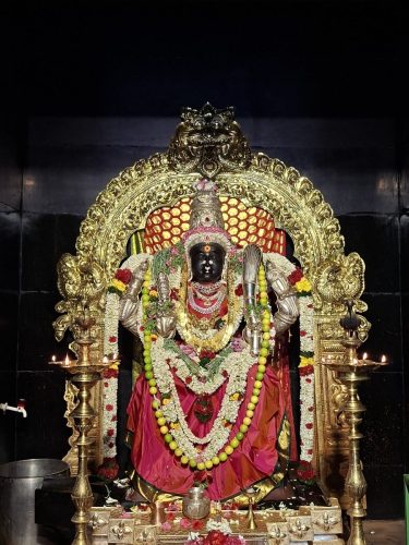 WhatsApp-Image-2026-04-14-at-2.41.18-PM