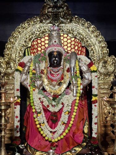 WhatsApp-Image-2026-04-14-at-2.41.19-PM