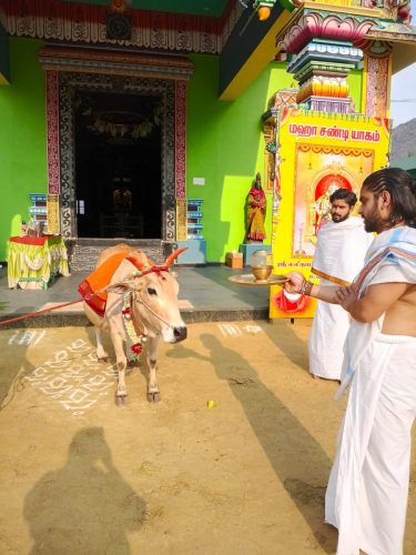 WhatsApp-Image-2026-04-28-at-4.50.19-PM