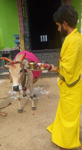 gopuja on 12-05-2026