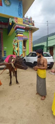 gopuja on 15-05-2026
