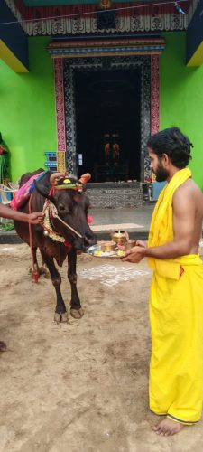 Gopuja on 17-05-2026