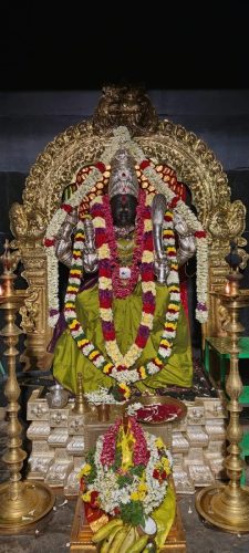 WhatsApp-Image-2026-05-19-at-6.46.05-AM