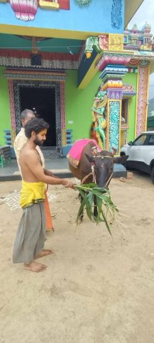 gopuja on 19-05-2026