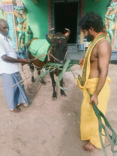 gopuja on 20-05-2025