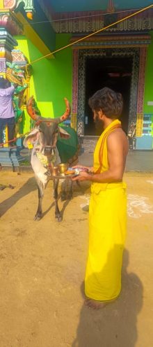 gopuja on 25-05-2026